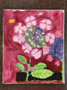 額アジサイを東儀画塾の子供アトリエ教室で水彩で描いた絵