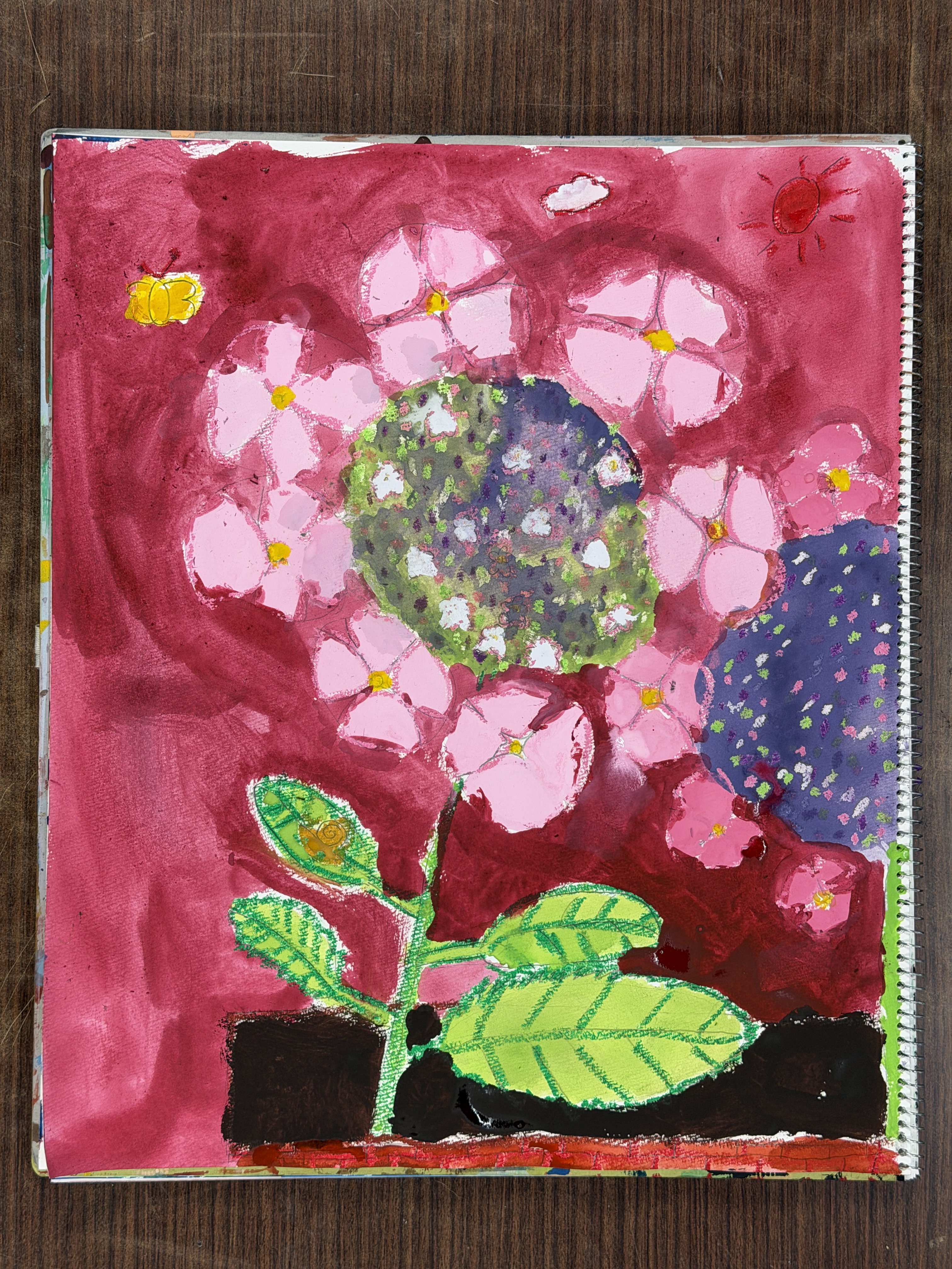 額アジサイを東儀画塾の子供アトリエ教室で水彩で描いた絵