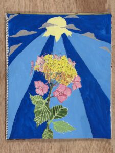 額アジサイを東儀画塾の子供アトリエ教室で水彩で描いた絵