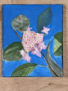 額アジサイを東儀画塾の子供アトリエ教室で水彩で描いた絵