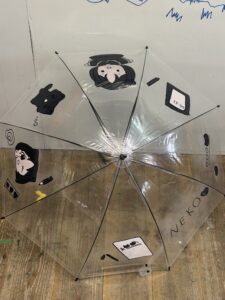 京都の絵画教室OWL美術研究所生徒作品
透明ビニール傘に描かれた絵
