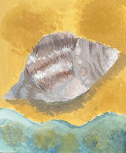 京都伏見の絵画教室owl美術研究所の子供アトリエ教室で描かれた貝の絵　波打ち際の貝