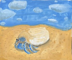京都伏見の絵画教室owl美術研究所の子供アトリエ教室で描かれた貝の絵　やどかり
