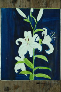 京都の絵画教室東儀画塾で描かれた子供の水彩画
百合の花　背景が藍色