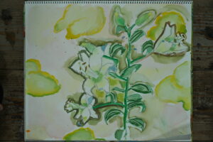 京都の絵画教室東儀画塾で描かれた子供の水彩画
百合の花 背景に薄い黄緑の雲