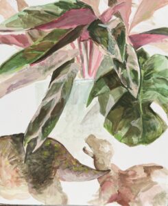 京都の絵画教室OWL美術研究所東儀画塾の子供アトリエで描かれた絵画作品。ピンクや赤、鮮やかな緑色が混ざり合う美しい葉を持つ鉢植えの観葉植物（カラジウムやアグラオネマ等）が丁寧に描き込まれた、色彩豊かな作品。その植物の手前に恐竜がその葉っぱをみている